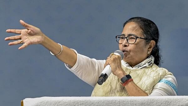 <div class="paragraphs"><p>West Bengal Chief Minister Mamata Banerjee.</p></div>