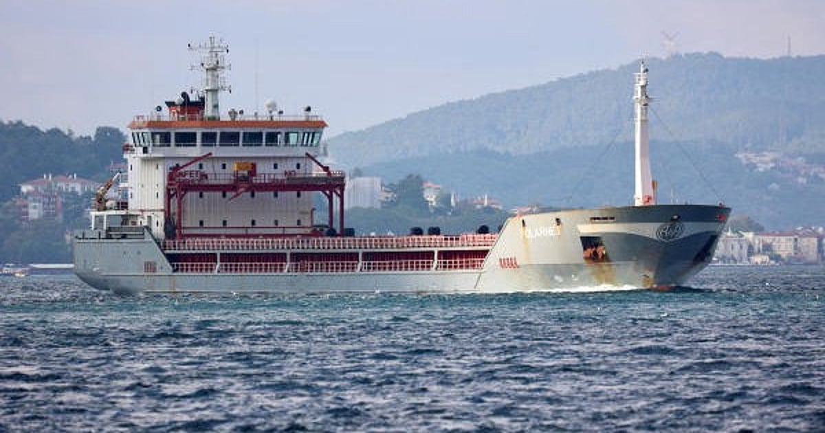 Turkey searches for missing crew after cargo ship sinks, state media reports Turkey searches for missing crew after cargo ship sinks, state media reports