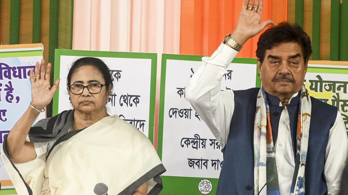 <div class="paragraphs"><p>TMC's Mamata Banerjee on dharna.</p></div>