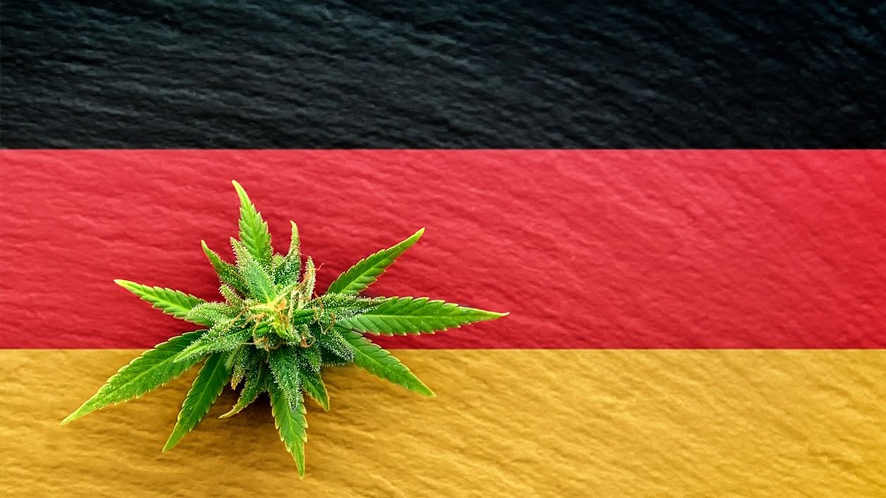 <div class="paragraphs"><p>Representative image showing a cannabis bud juxtaposed against the German flag.</p></div>