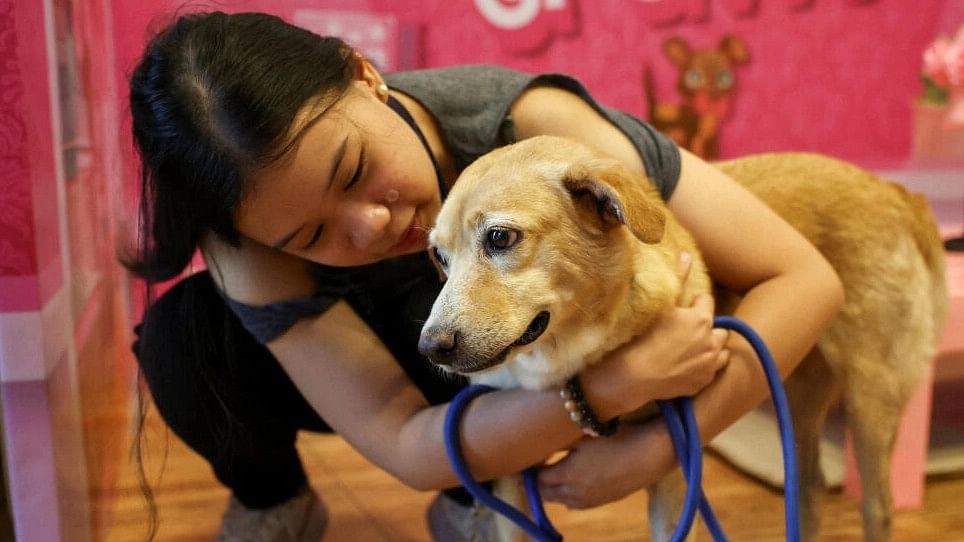 <div class="paragraphs"><p>Linette Ang hugs Clay, a dog rescued by the Philippine Animal Welfare Society (PAWS), during their "FURst date" on Valentine's Day.</p></div>
