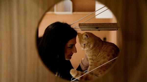 <div class="paragraphs"><p>A woman plays with a cat in a special cafe, which is the first of this kind in the city of Erbil, that allows customers to play with cats, and helps to raise and not harm them, in Erbil, Iraq.</p></div>