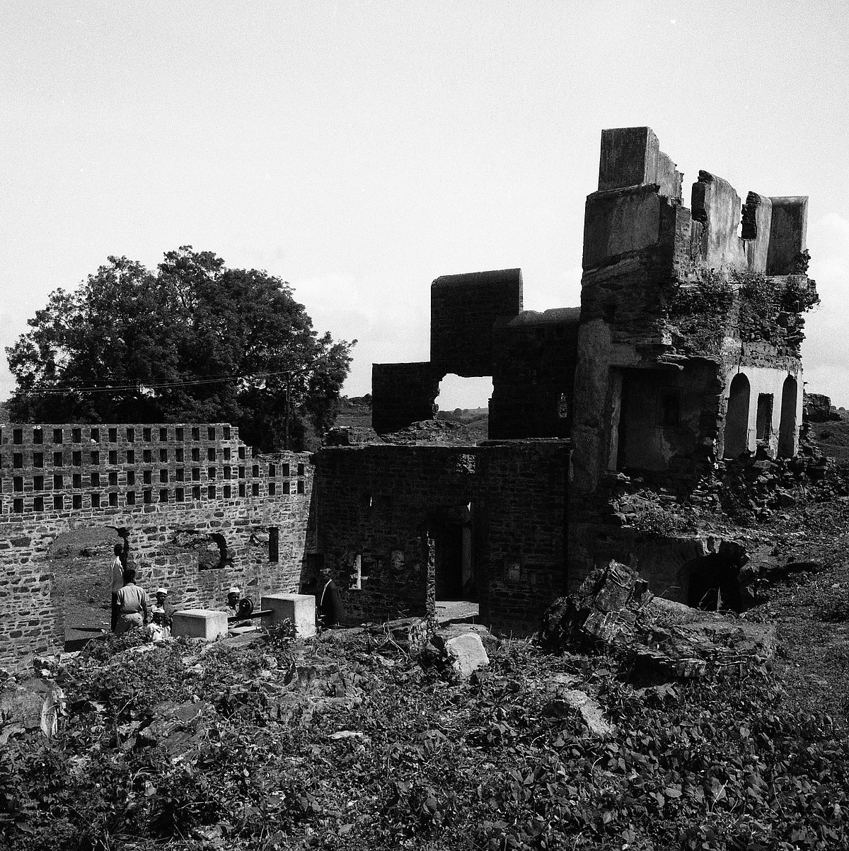 A warrior who led the way