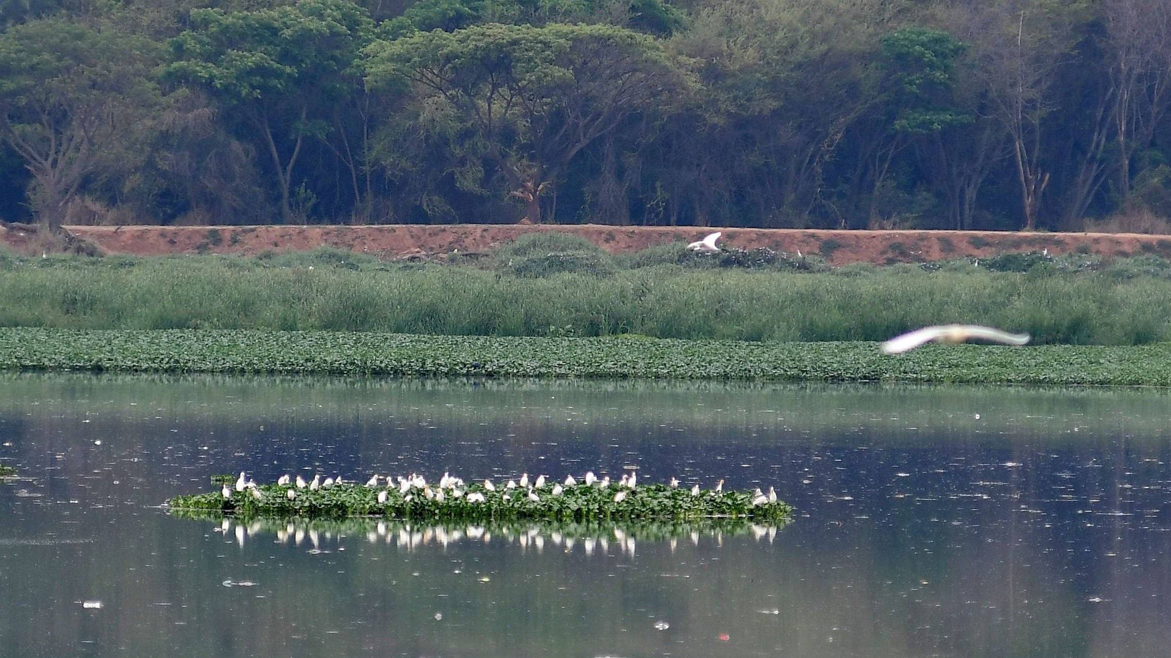 <div class="paragraphs"><p>Systematic flood retention mechanisms must be developed by interconnecting the lakes and constructing underground reservoirs. </p></div>