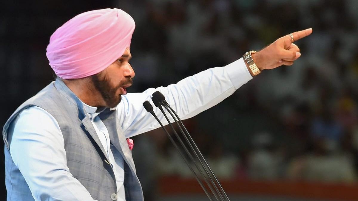 <div class="paragraphs"><p>After a decade-long stint in the unforgiving world of politics, Navjot Singh Sidhu and his 'Sidhuisms' will be back on air starting with the IPL, which precedes the T20 World Cup in June.  </p></div>
