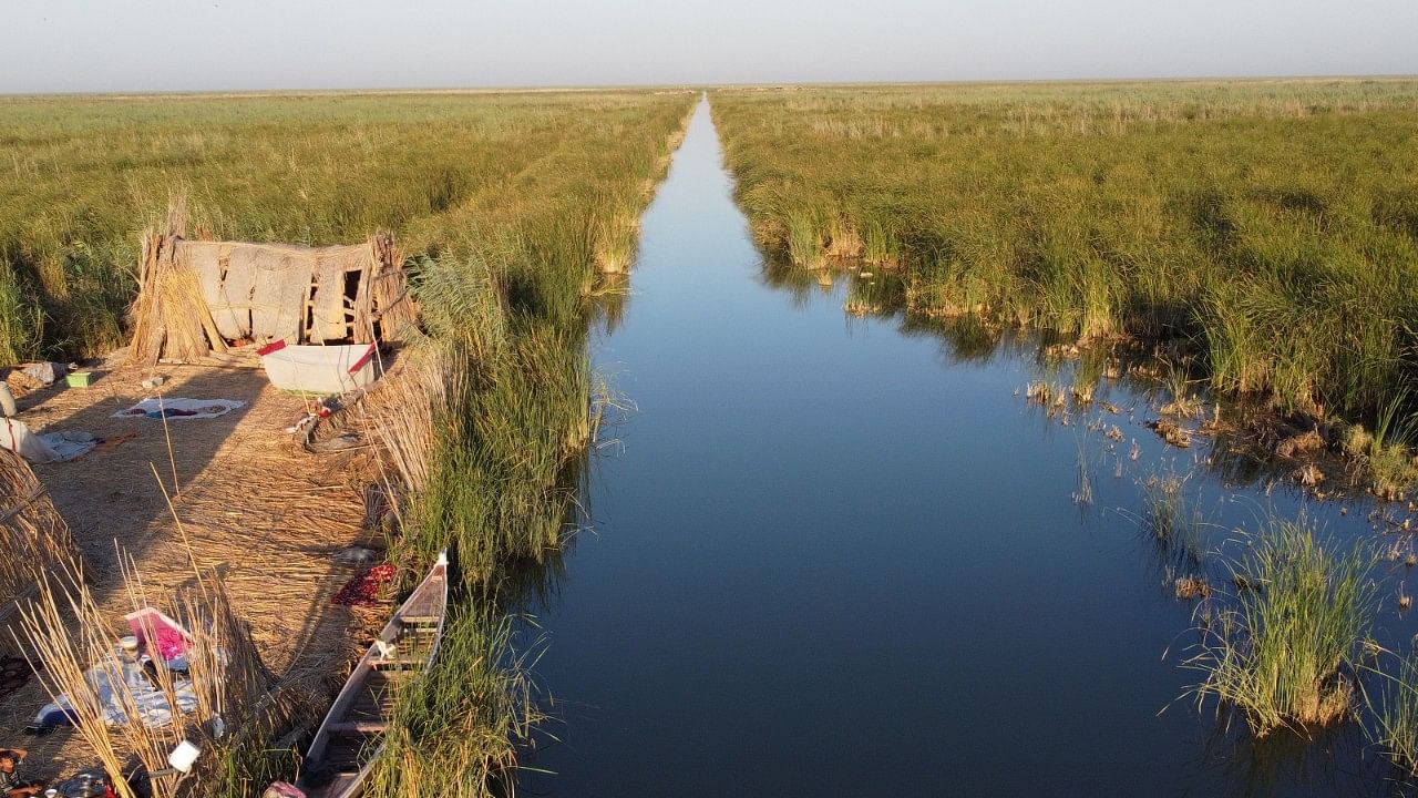 <div class="paragraphs"><p>Wetlands, with shallow waters, support a rich biodiversity and need to be protected from unscientific development.</p></div>