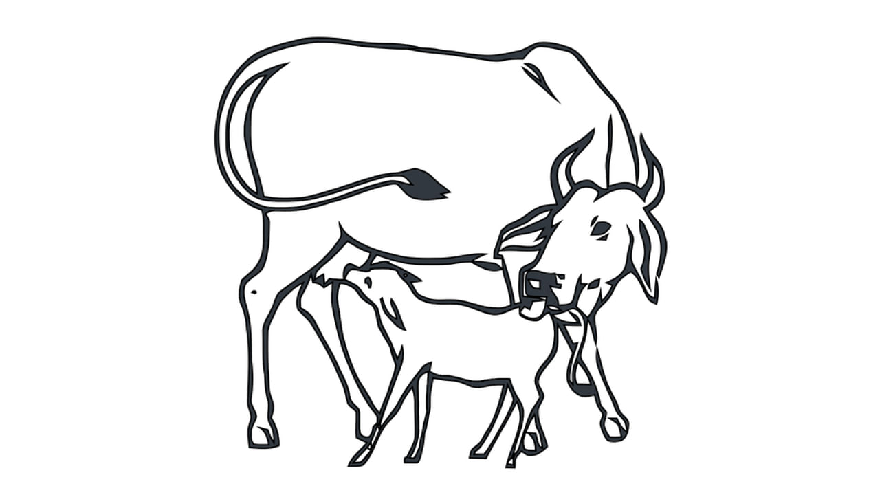 <div class="paragraphs"><p>The 'Cow andCalf' symbol allotted to the Indira Gandhi faction of the Congress that became a point of contention.</p></div>