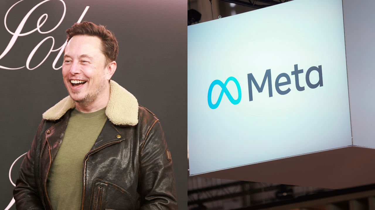 <div class="paragraphs"><p>A file photo of Elon Musk and the logo of Meta.</p></div>