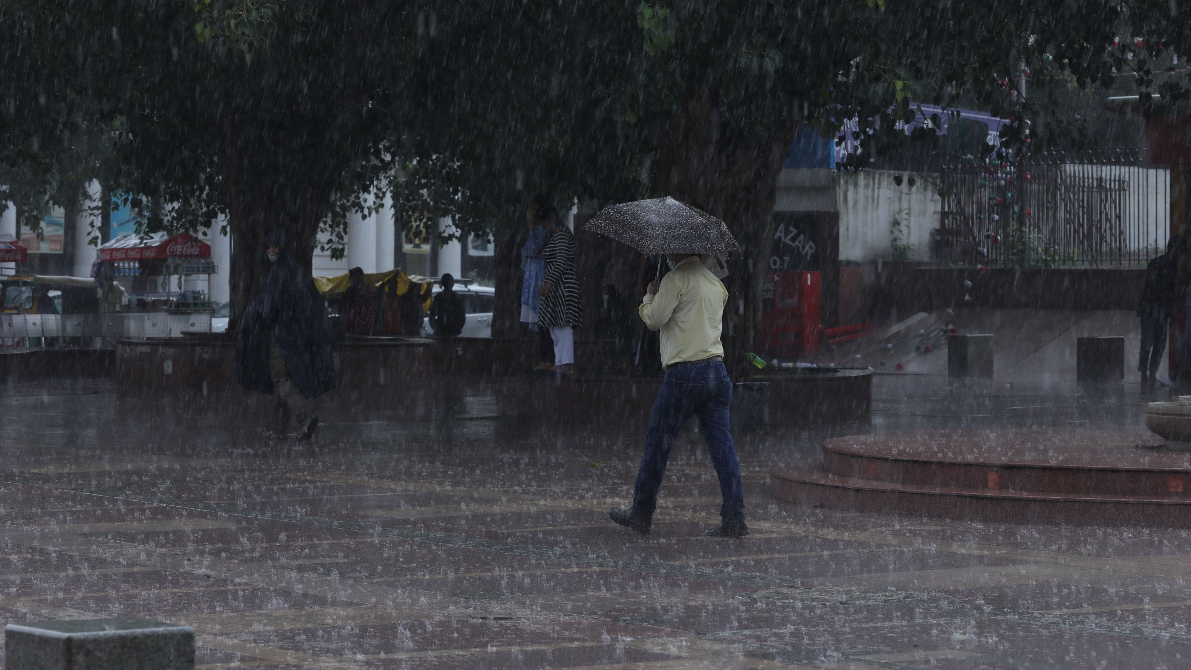 <div class="paragraphs"><p>Rain and hailstorm in Delhi. (Representative image)</p></div>