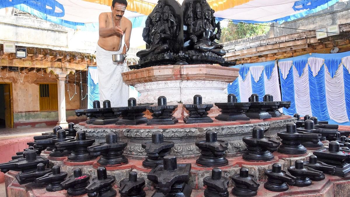 <div class="paragraphs"><p>Shivalingas being spruced up as part of Mahashivaratri celebrations at Gurukula on Ramanuja Road in Mysuru.</p></div>