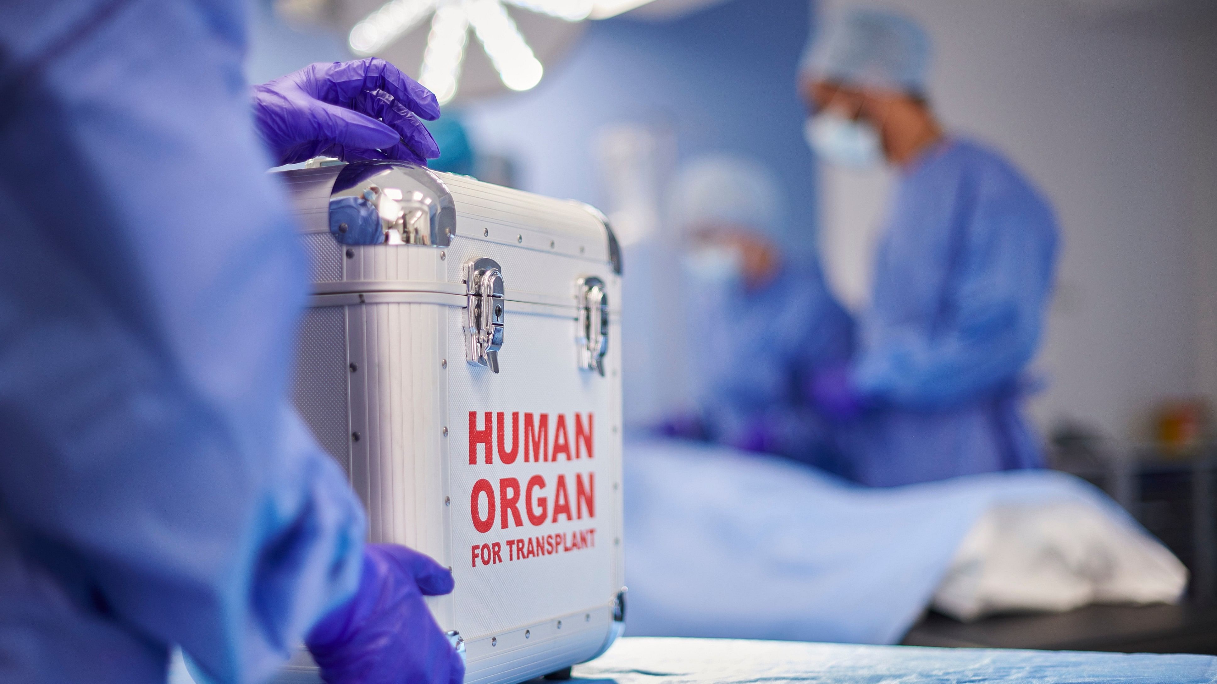 <div class="paragraphs"><p>Organ transplant surgery (Representative image)</p></div>