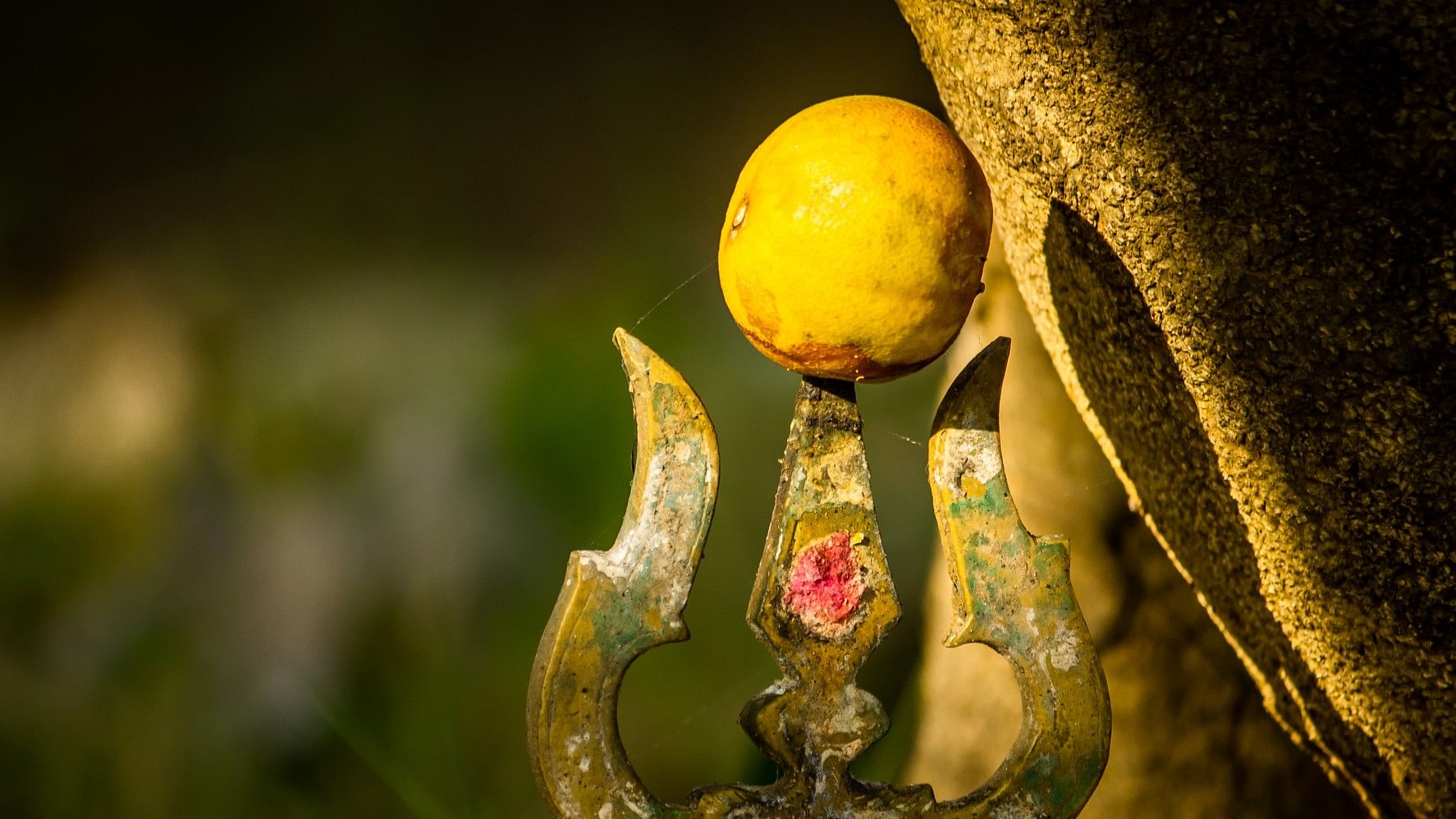<div class="paragraphs"><p>Over the nine days of the festival, temple priests spike a lemon on the spear each day and the management auctions them off on the last day. Representative image.</p></div>