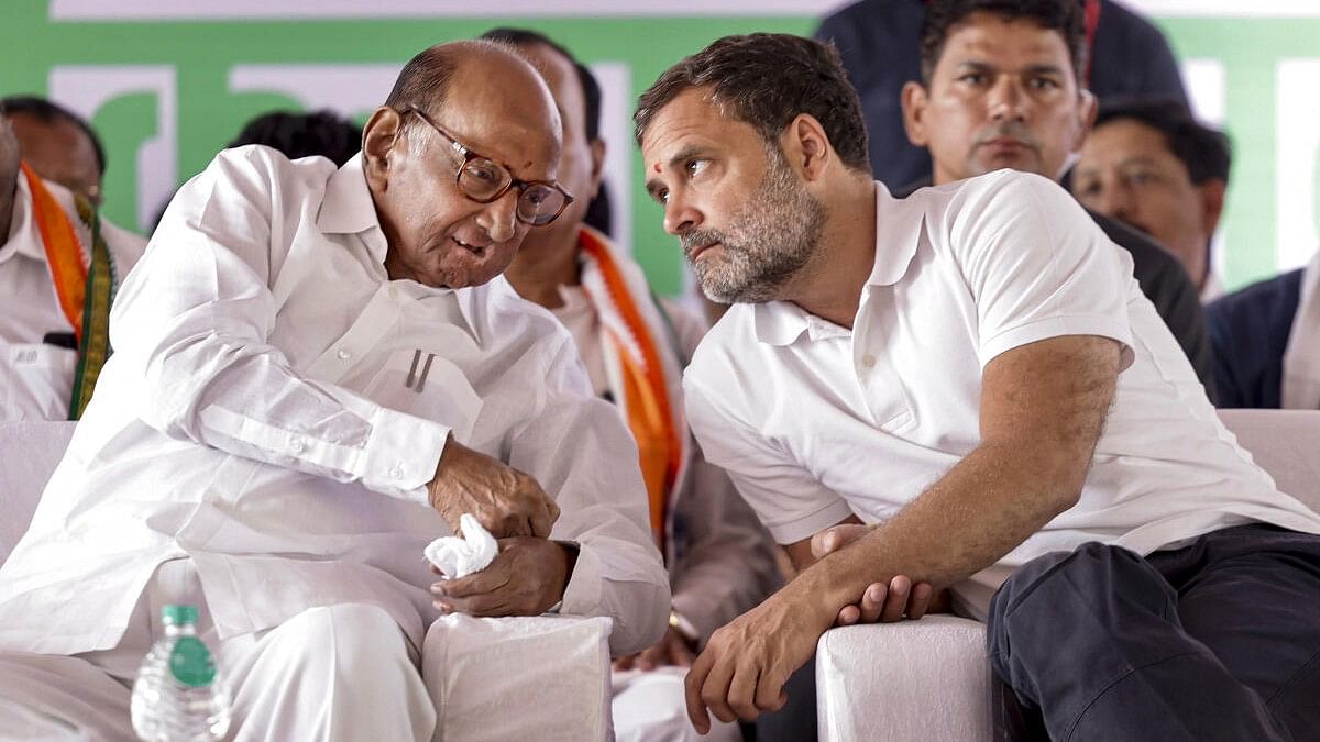 <div class="paragraphs"><p>Rahul Gandhi with NCP (Sharadchandra Pawar) President Sharad Pawar during 'Kisan Mahapanchayat' in Nashi</p></div>