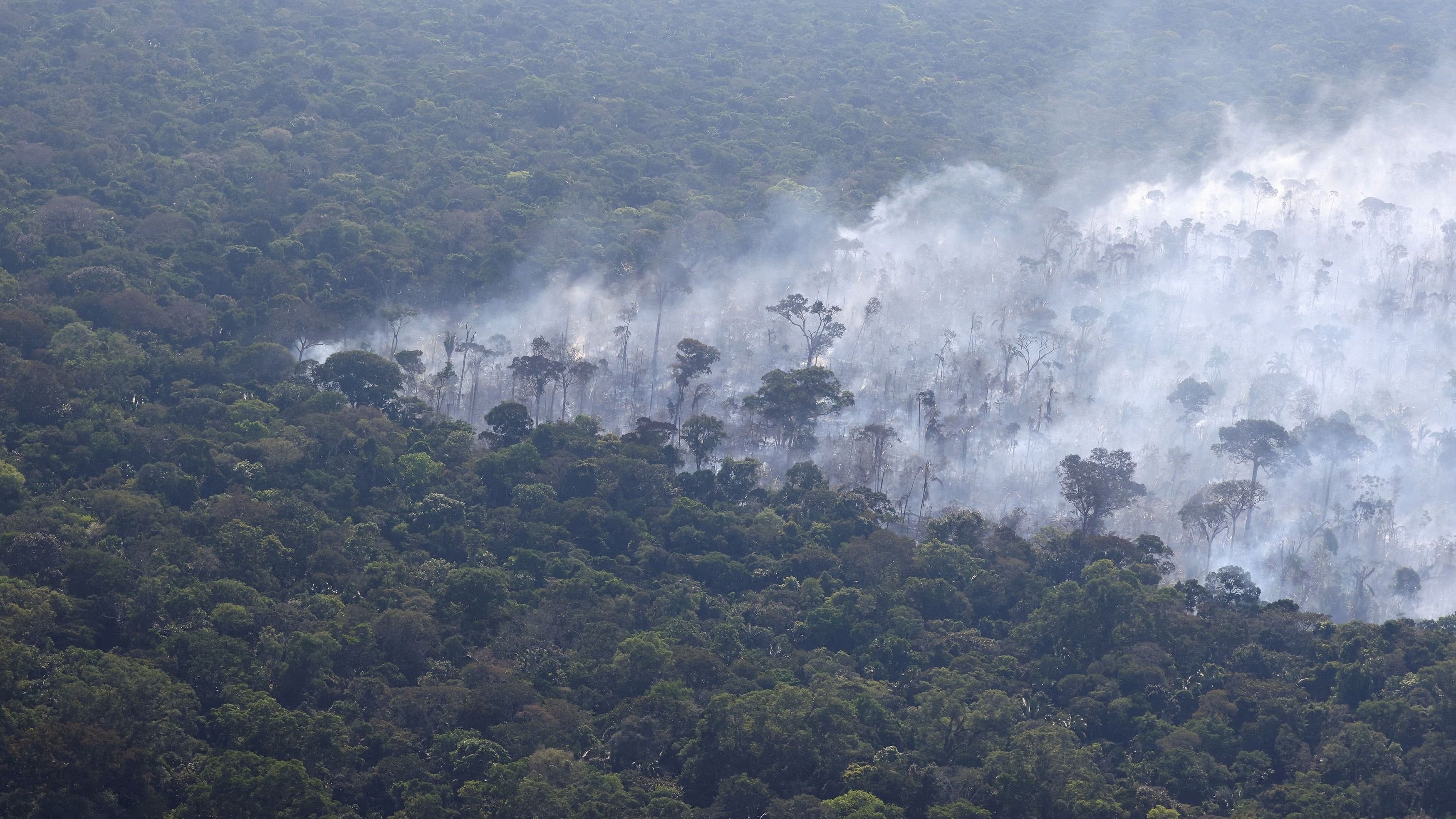 Scientists predict looming crisis by analyzing remnants of Amazon wildfires