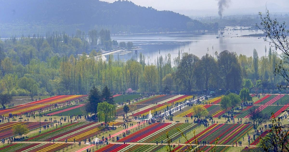 Asia’s largest Tulip garden in Srinagar set to charm tourists from next week Asia’s largest Tulip garden in Srinagar set to charm tourists from next week
