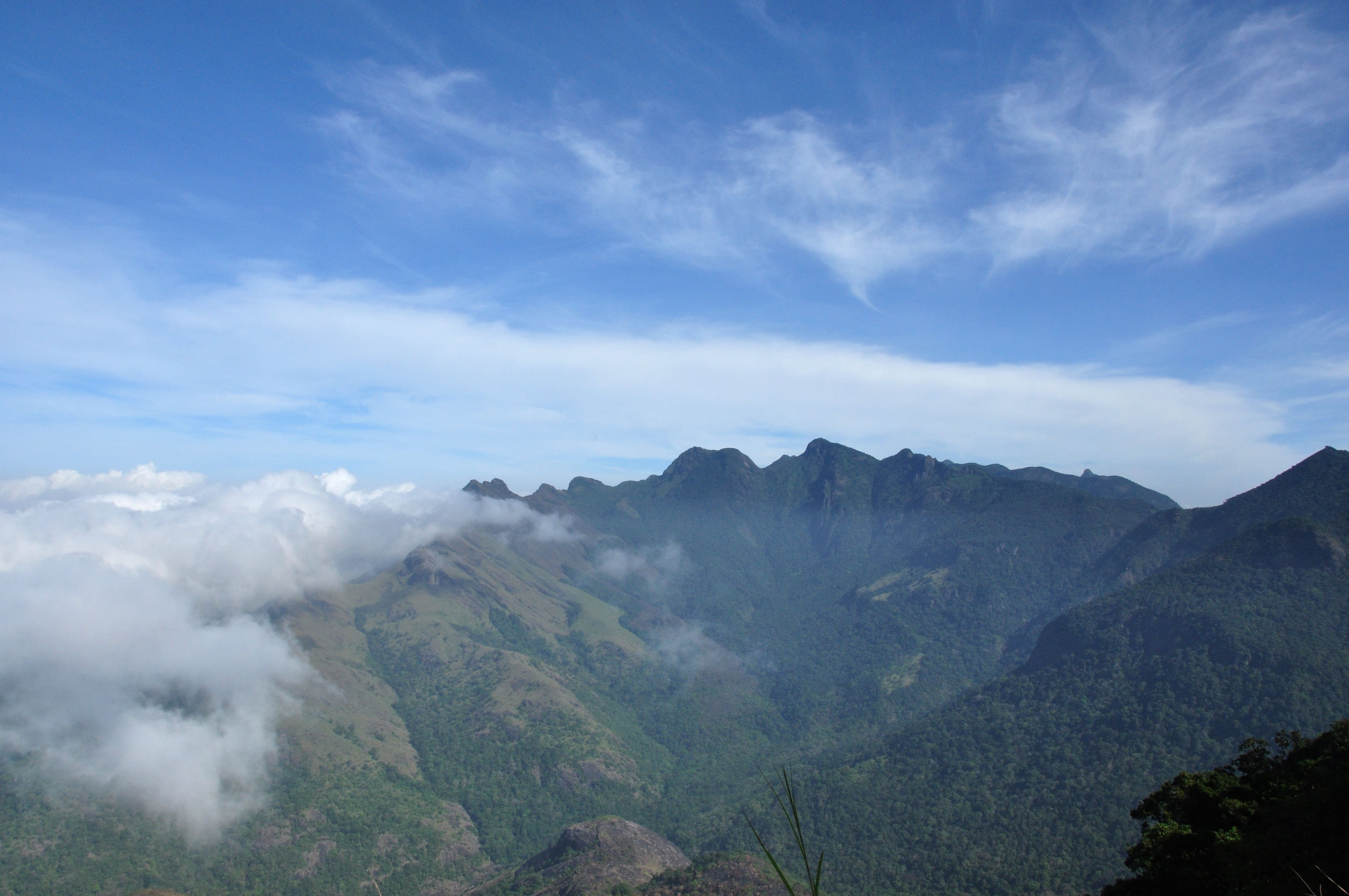 Behind the biodiversity in the Western Ghats