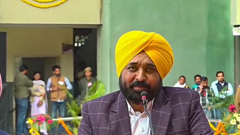 <div class="paragraphs"><p>Punjab Chief Minister Bhagwant Mann.</p></div>