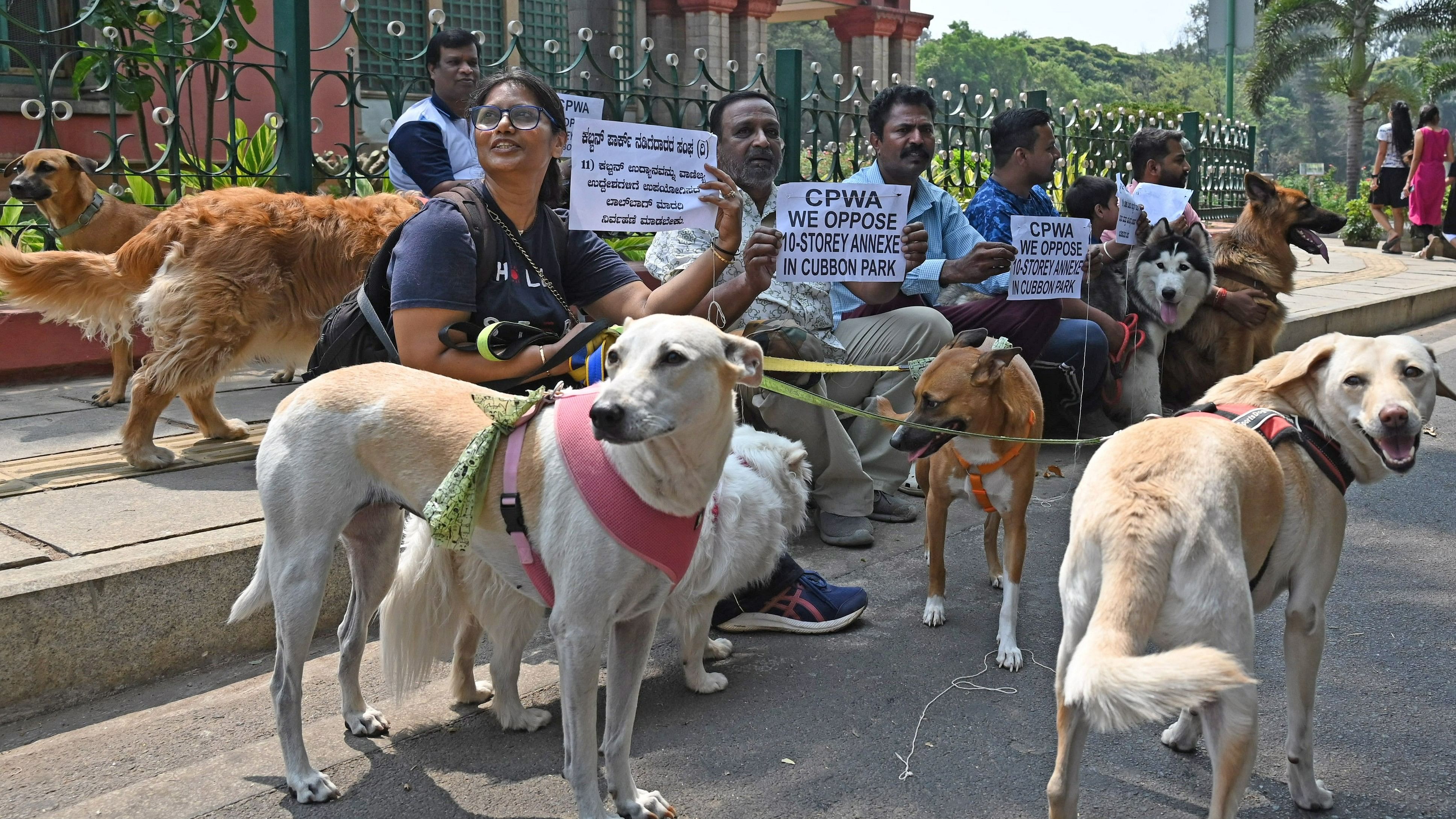 <div class="paragraphs"><p>The Cubbon Park Walkers’ Association protest with pet dogs against the proposed construction of a 10-storey building on Sunday. </p></div>