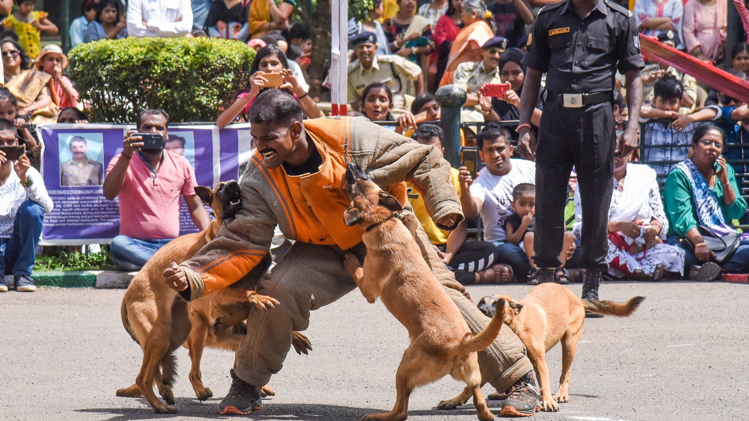 <div class="paragraphs"><p>Bengaluru's four-legged heroes may get their own training academy in Adugodi. </p></div>