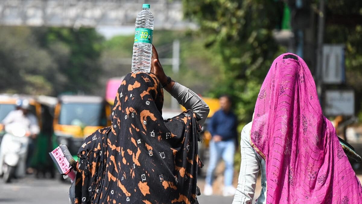 <div class="paragraphs"><p>Many districts, especially coastal areas and north interior Karnataka may experience heat waves by the end of March.</p></div>
