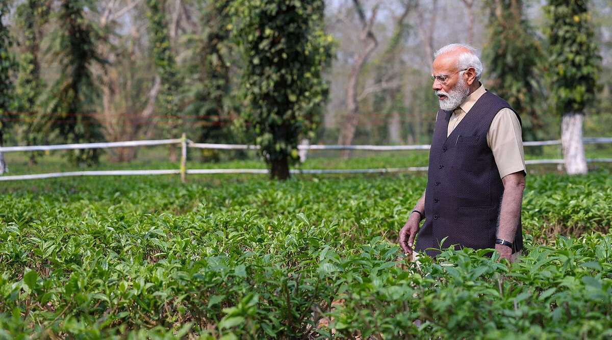 <div class="paragraphs"><p>Prime Minister Narendra Modi visits Assam's tea gardens, on Saturday.&nbsp;</p></div>