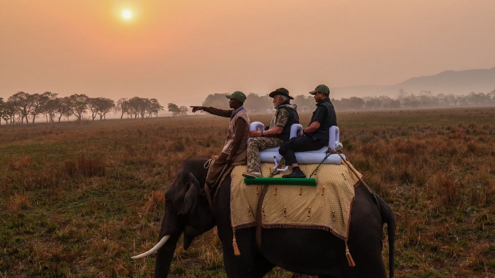 <div class="paragraphs"><p>PM Narendra Modi&nbsp;at Kaziranga National Park in Assam.</p></div>