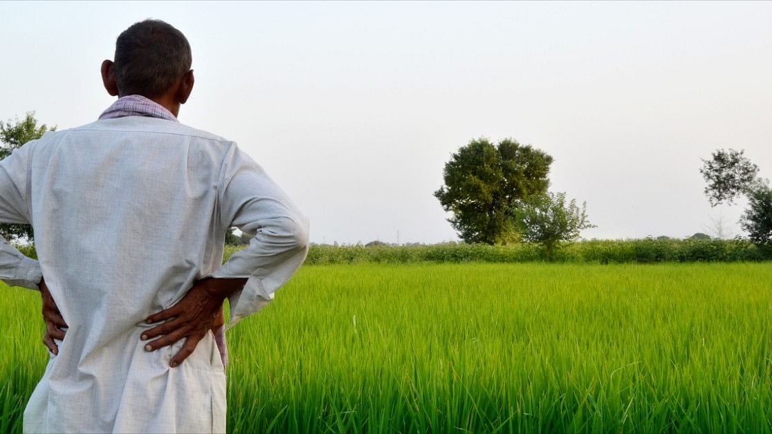 <div class="paragraphs"><p>Representative image of a farmer looking at the farm land.</p></div>