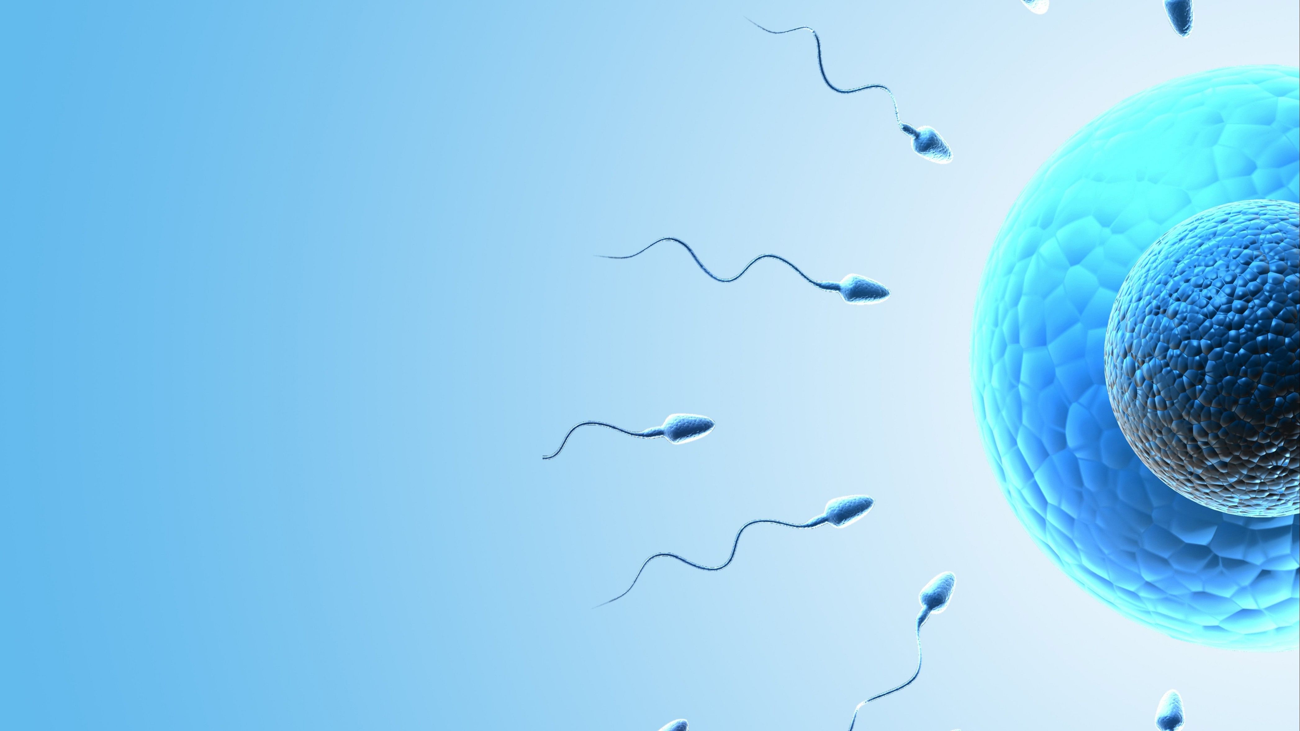 <div class="paragraphs"><p>IVF image for representation.</p></div>