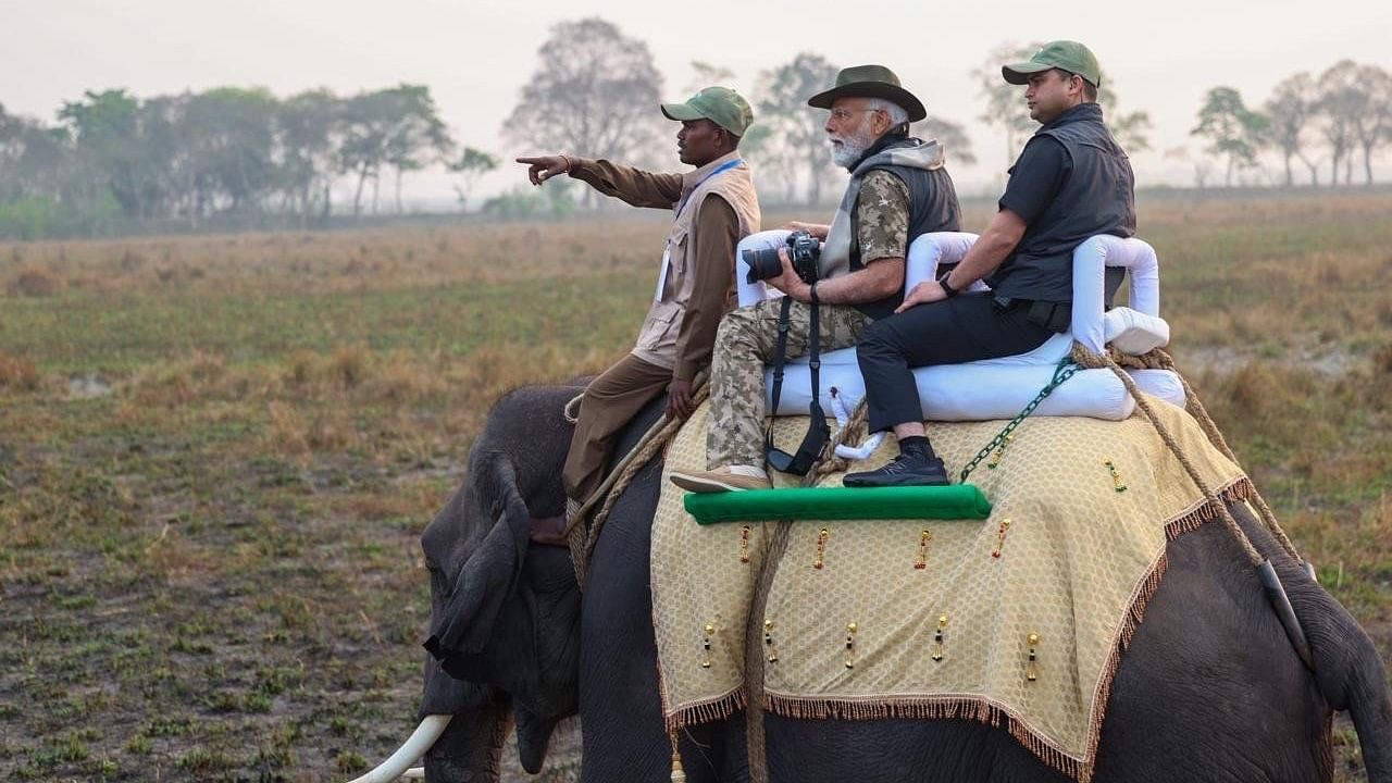 <div class="paragraphs"><p>PM Modi enjoying elephant safari in Assam.</p></div>