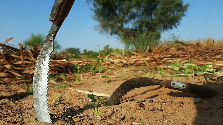 <div class="paragraphs"><p>Representative image of a sickle.</p></div>