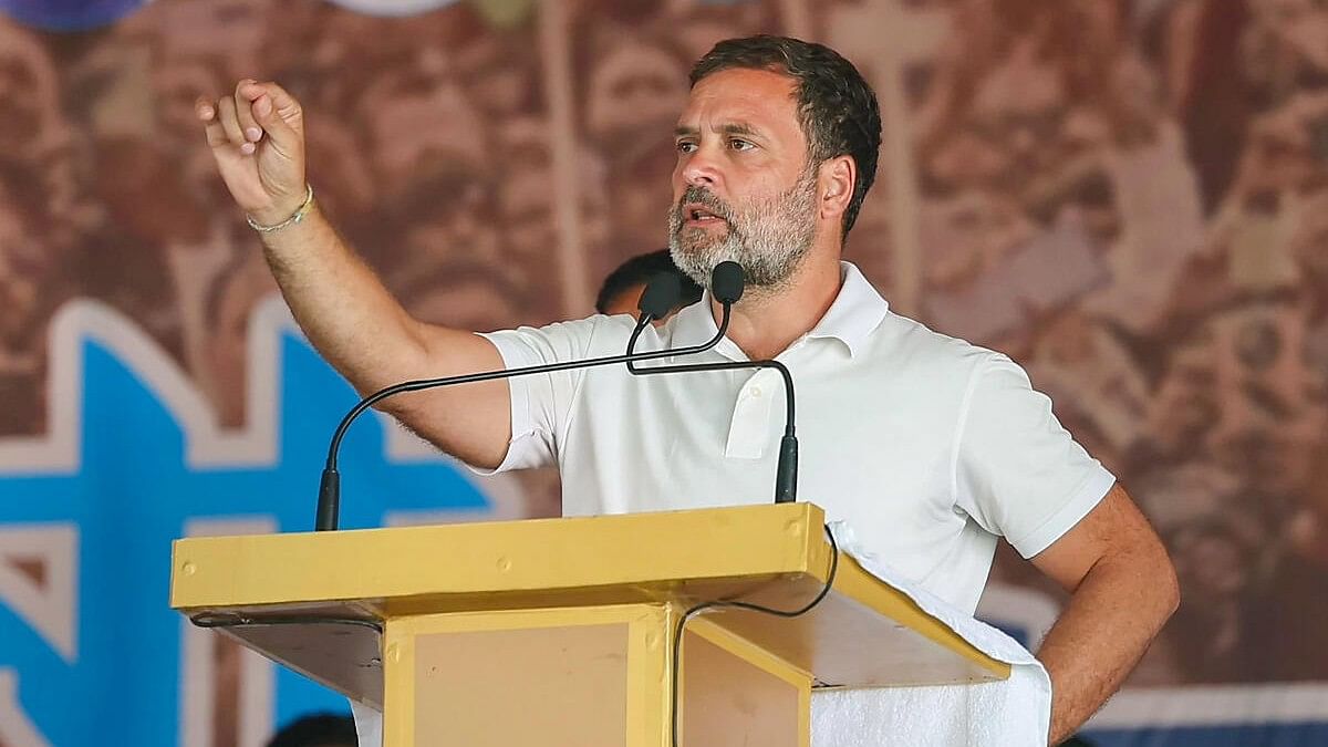 <div class="paragraphs"><p>Rahul Gandhi is the sitting MP of Wayanad.&nbsp;</p></div>