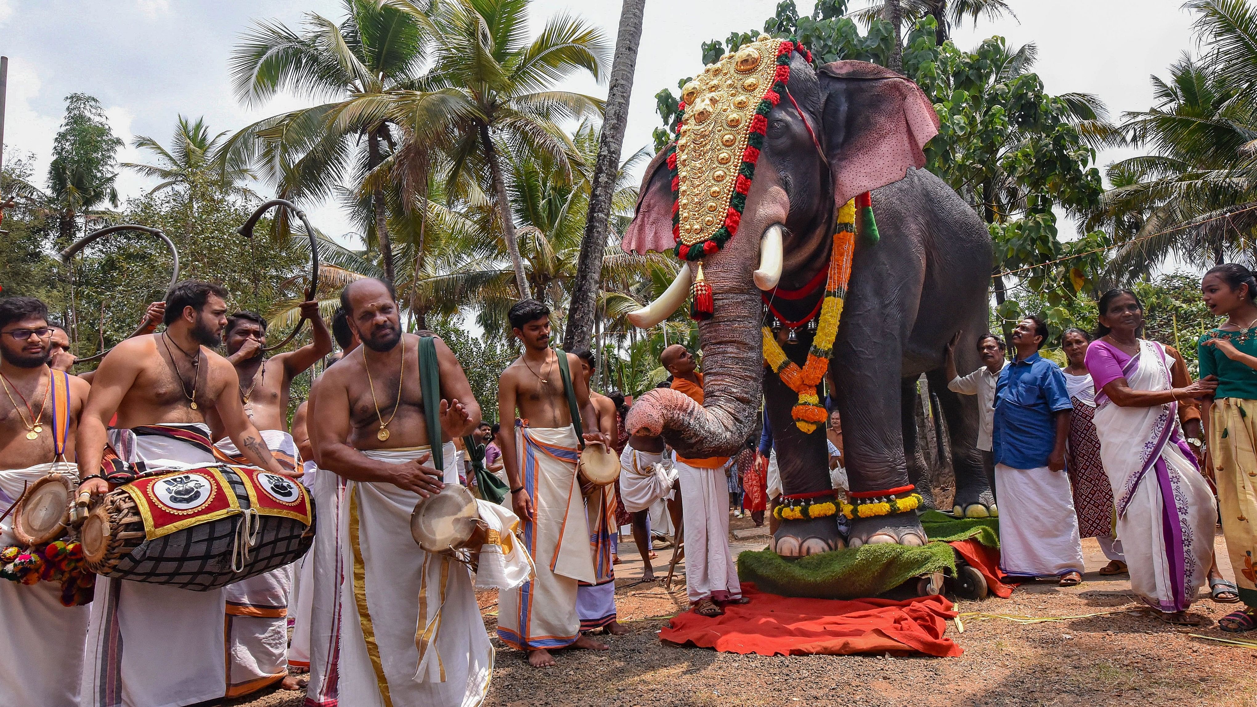 <div class="paragraphs"><p>A&nbsp;realistic mechanical elephant named Mahadevan was gifted  by PETA India and actor Priyamani to Thrikkayil Mahadeva temple, Kerala, on March 17, 2024, in honour of the temple's&nbsp; commitment to never hiring or keeping real elephants.</p></div>