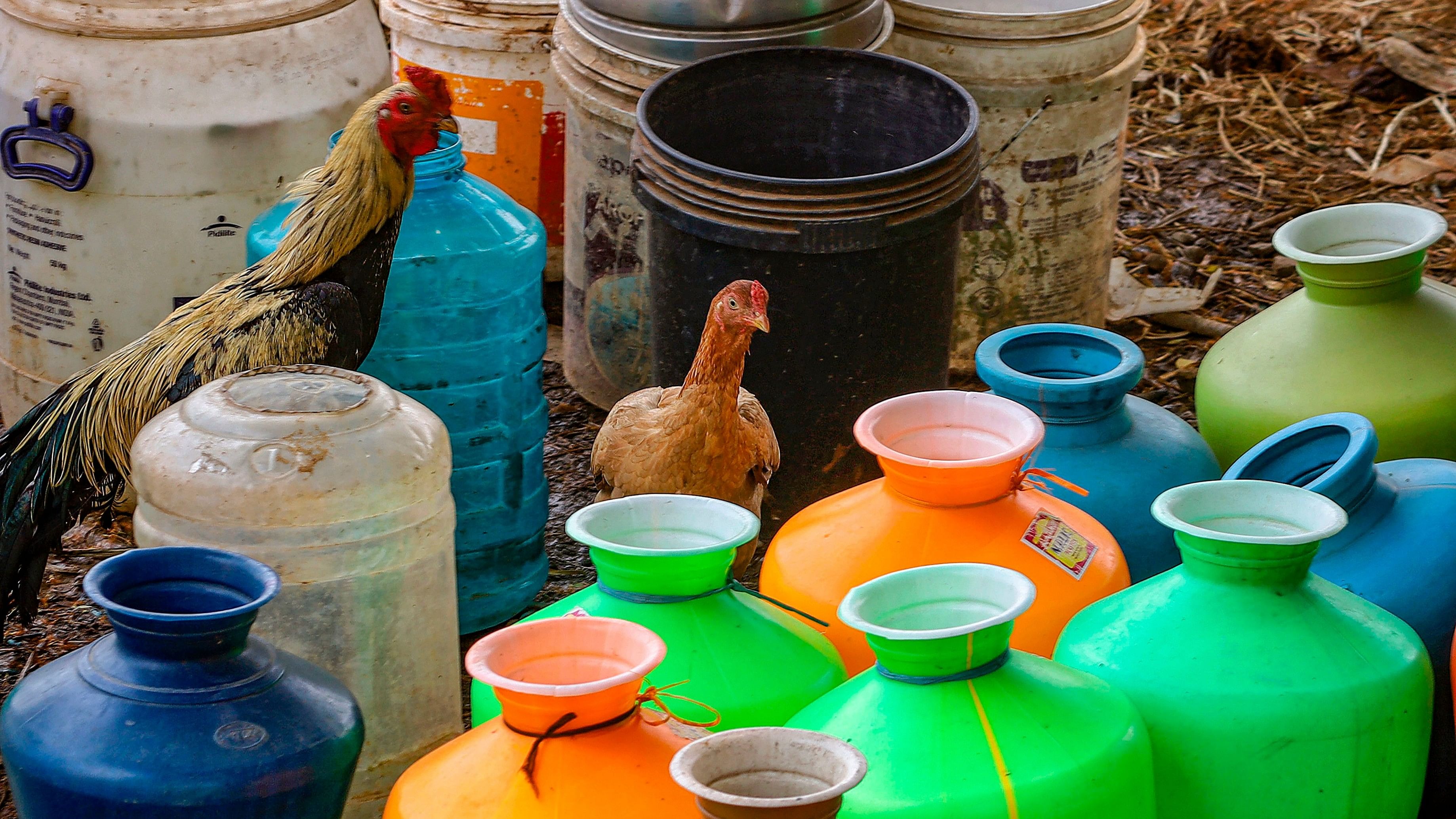 <div class="paragraphs"><p>Bengaluru: Pots are placed to collect free water from a tanker amid the ongoing water crisis, in Bengaluru</p></div>