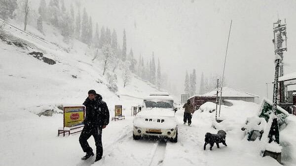 <div class="paragraphs"><p>Snow-covered road at the Atal Tunnel Rohtang South Portal during snowfall, in Manali district, Saturday, March 30, 2024.</p></div>