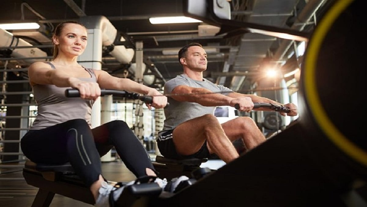 Understanding Testosterone and NPP Cycles: A Beginner’s Guide Understanding Testosterone and NPP Cycles: A Beginner’s Guide
