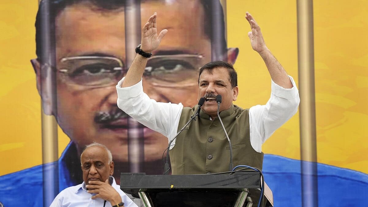 <div class="paragraphs"><p>AAP leader Sanjay Singh speaks during the protest at Jantar Mantar in New Delhi on Sunday, April 7, 2024. </p></div>