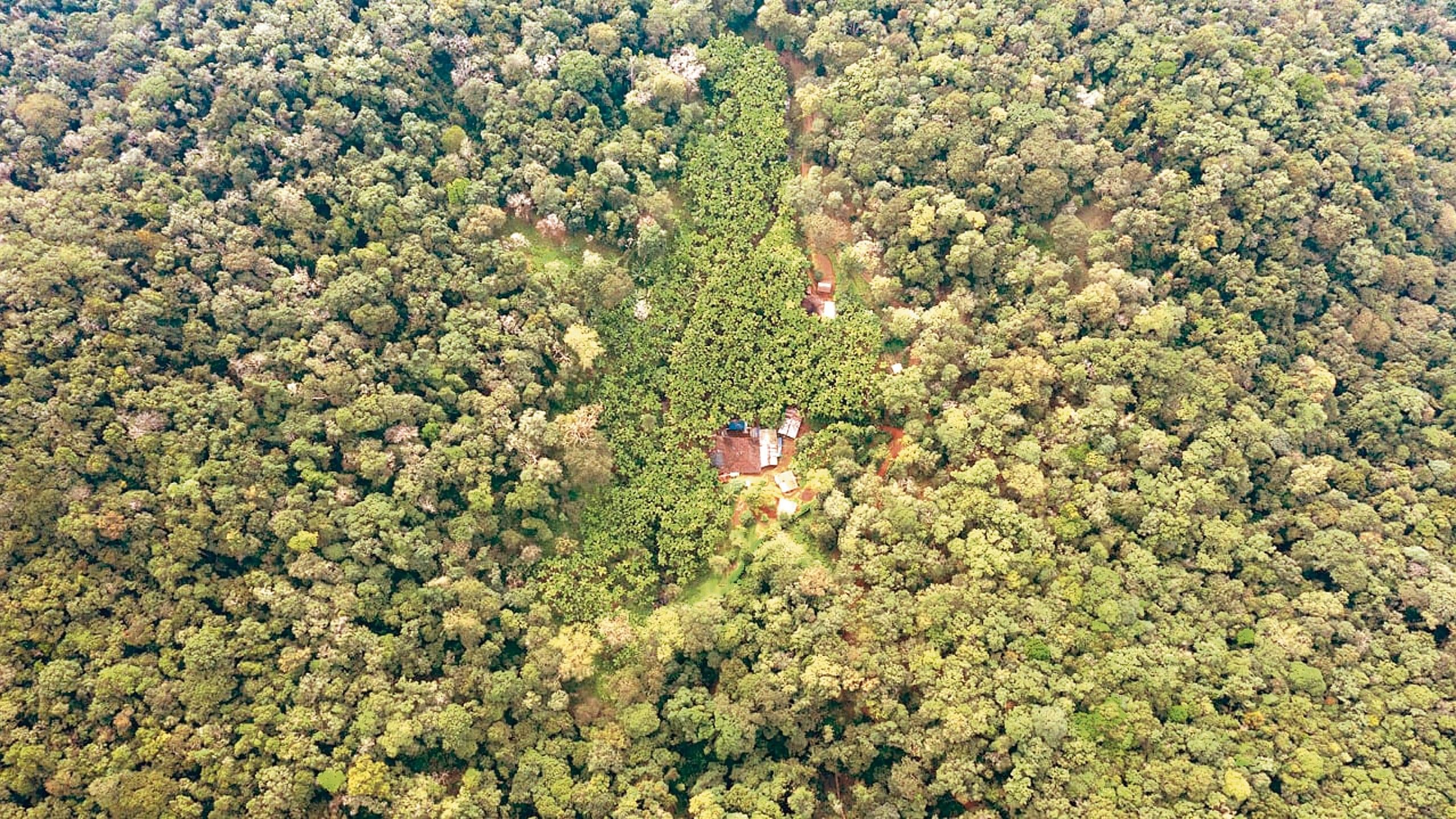 <div class="paragraphs"><p>A birds-eye view of the Kali Tiger Reserve in Uttara Kannada district.</p></div>