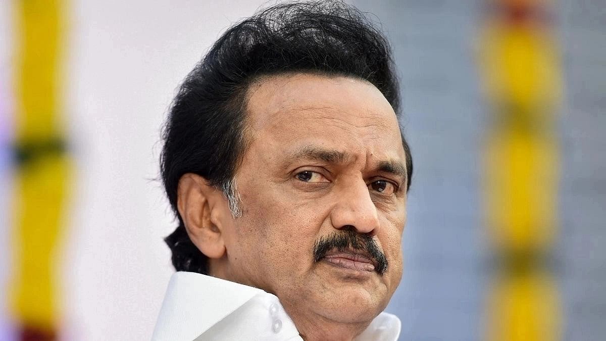 <div class="paragraphs"><p>Tamil Nadu Chief Minister and DMK chief MK Stalin.</p></div>