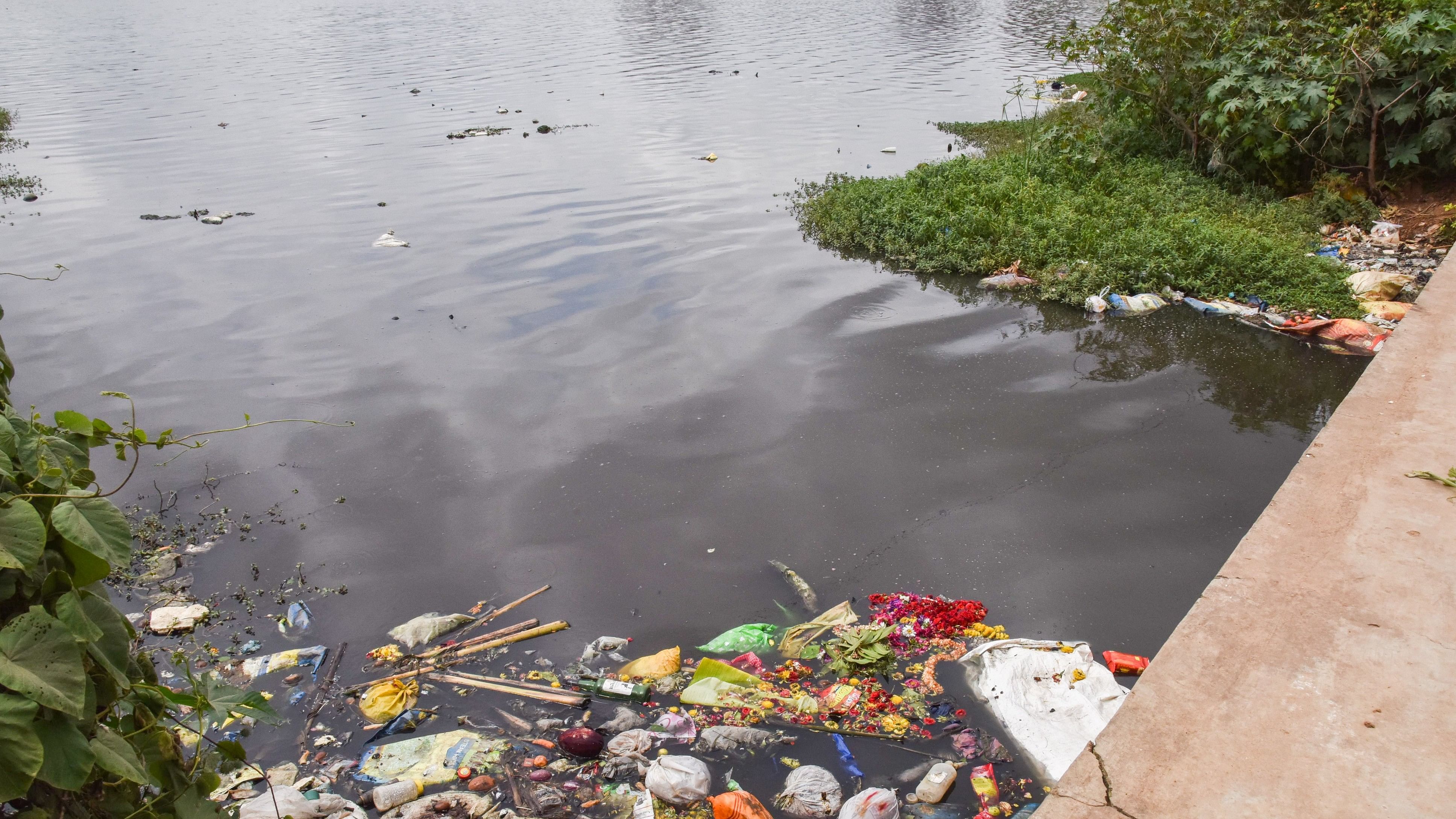 <div class="paragraphs"><p>Many lakes within Bengaluru and on the periphery have become harbours for sewage water, sometimes treated, sometimes untreated. </p></div>