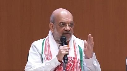 <div class="paragraphs"><p>Union Home Minister Amit Shah.</p></div>