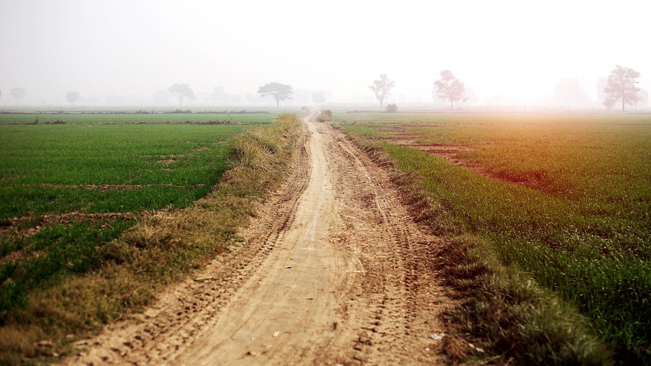 <div class="paragraphs"><p>Representative image of a village road.</p></div>