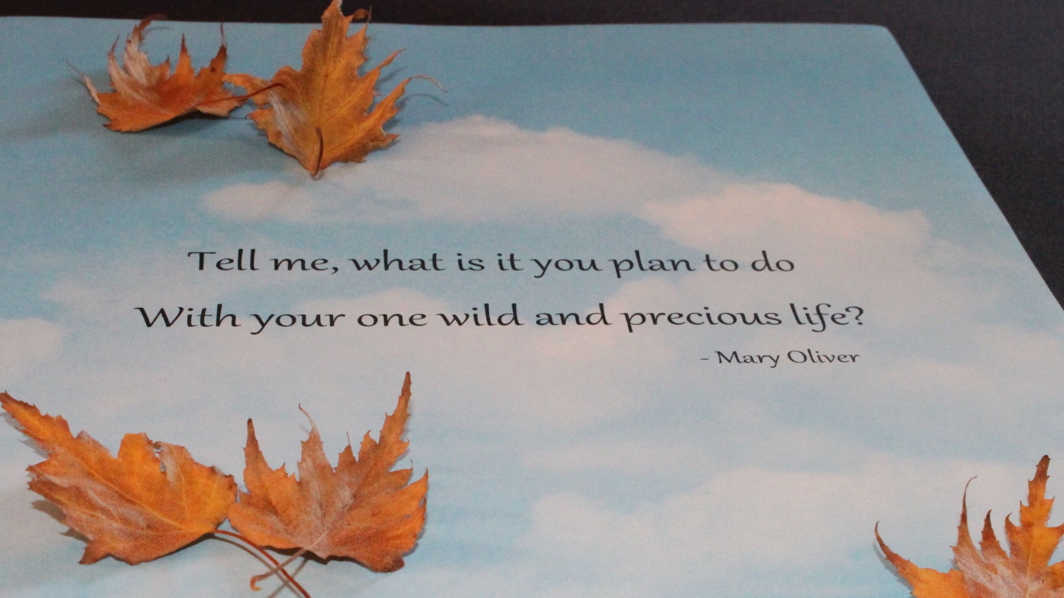 Mary Oliver's poem