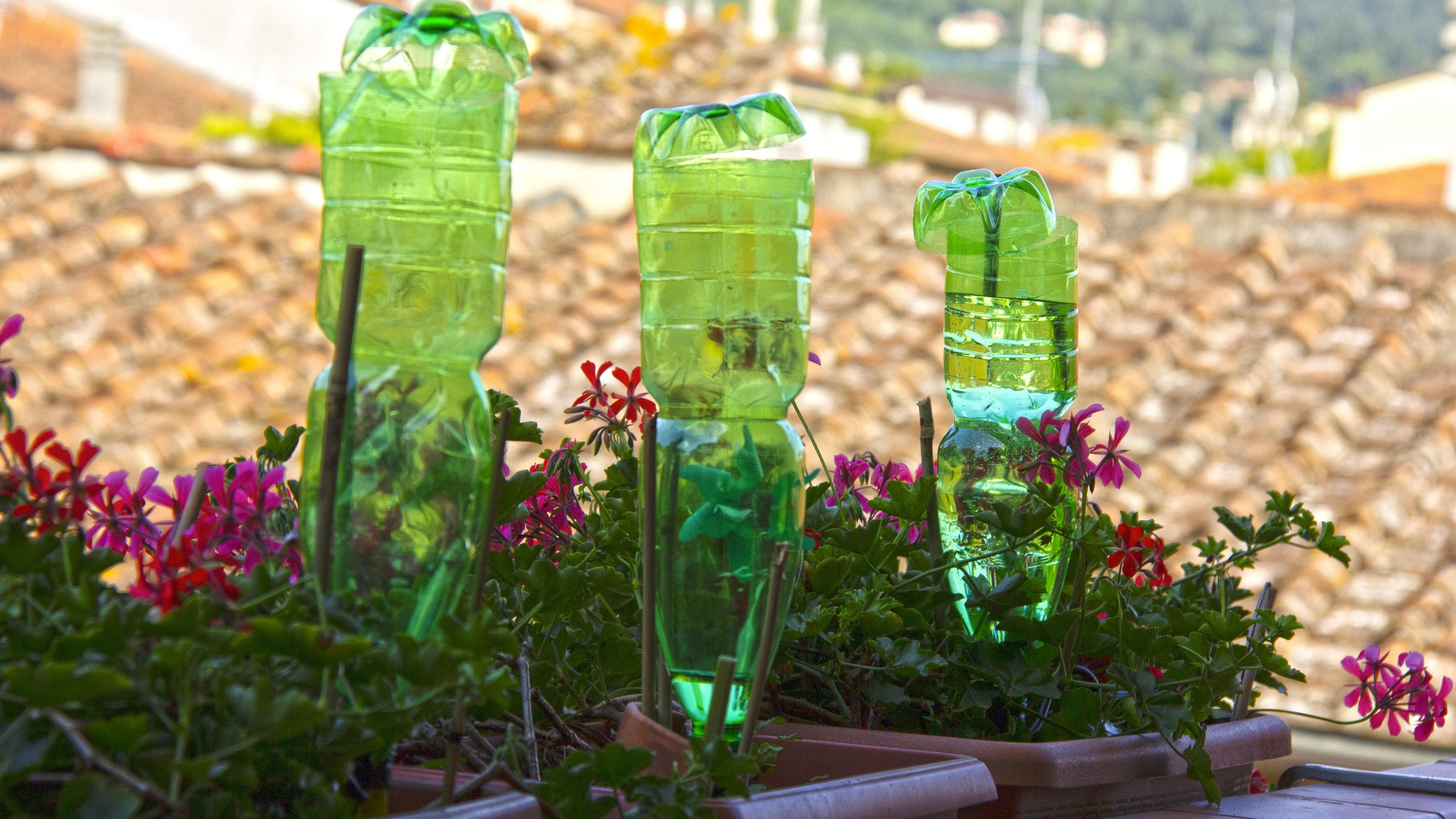 Plastic bottles for watering flowers on the balcony as an irrigation system.
