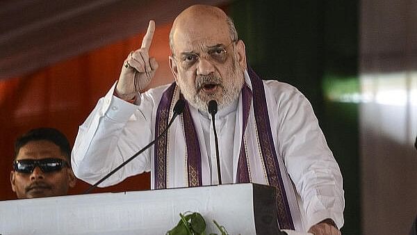 <div class="paragraphs"><p>Minister of Home Affairs Amit Shah.</p></div>