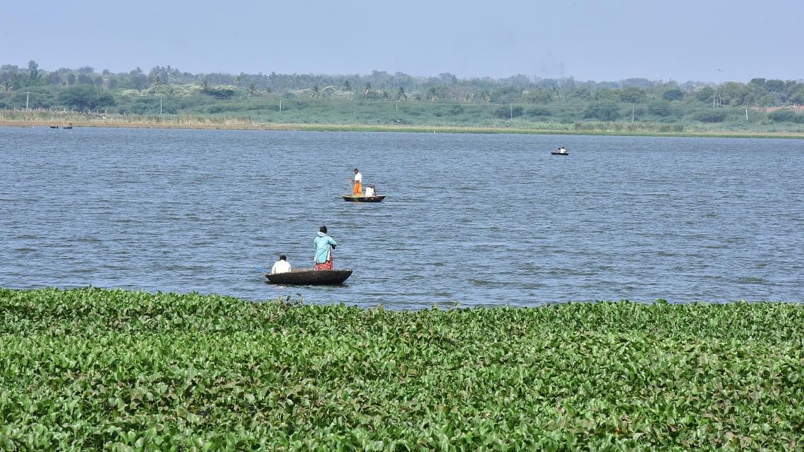 <div class="paragraphs"><p>Fishermen at Unkal lake in Hubballi.</p></div>