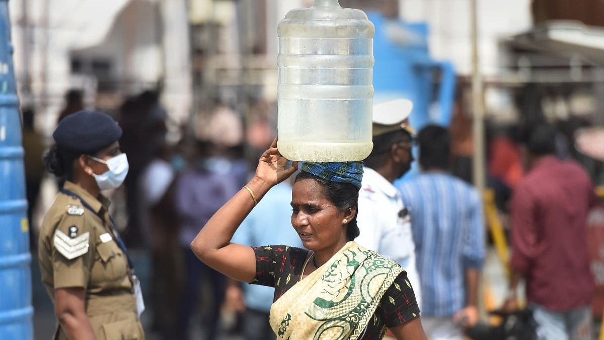 <div class="paragraphs"><p>A woman carries water can on her head, on a hot summer day in Chennai. (Representative image)</p></div>