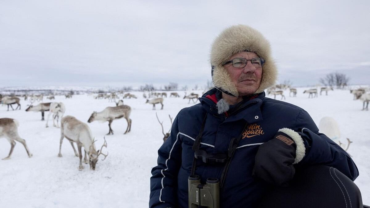<div class="paragraphs"><p>Sami reindeer herder Nils Mathis Sara, 65, monitors his reindeer during supplementary feeding near Geadgebarjavri, up on the Finnmark plateau, Norway, March 13, 2024.</p></div>
