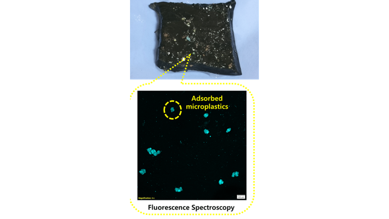 <div class="paragraphs"><p>Microplastic</p></div>