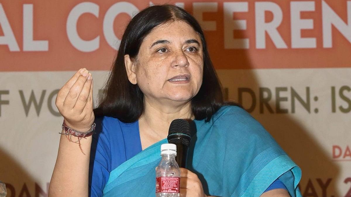 <div class="paragraphs"><p>BJP's Sultanpur candidate Maneka  Gandhi.</p></div>