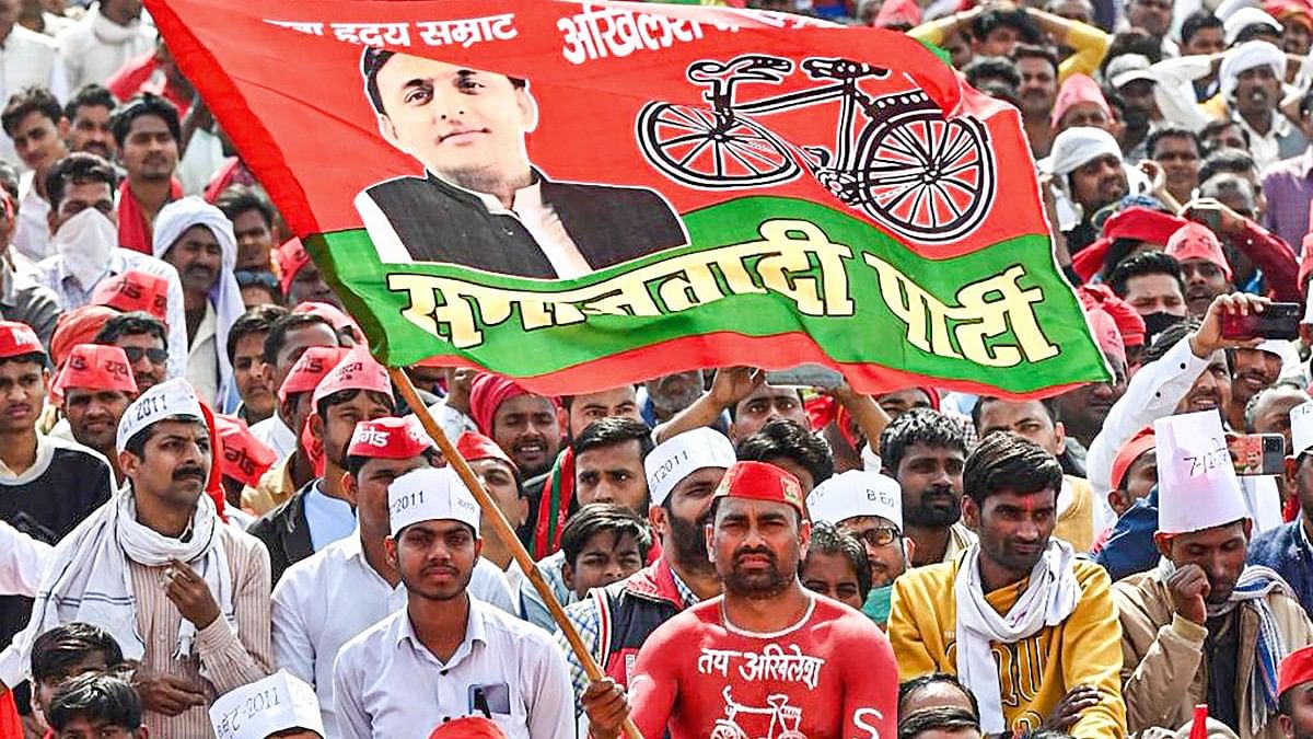 <div class="paragraphs"><p>A supporter holding the party flag. Image for representation only</p></div>